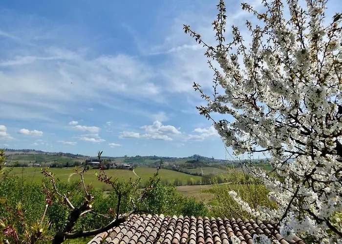 Bottega Di Rosanna *